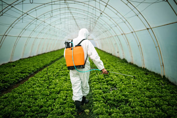 Best Pest Control Near Me  in Jamestown, NC