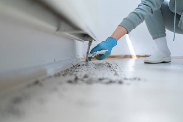 Reliable Jamestown, NC Pest Control Solutions