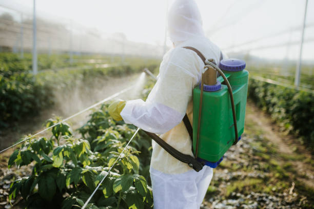 Trusted Jamestown, NC Pest Control Experts